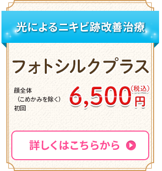 フォトシルクプラス