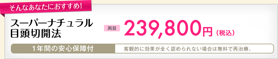 目頭切開法目 両目 239,800円