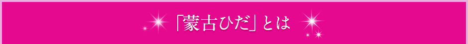 蒙古ひだとは