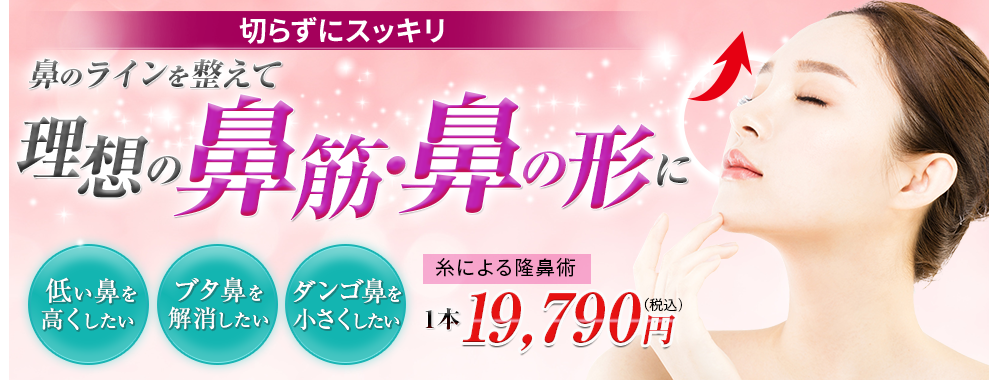 理想の鼻筋・鼻の形に