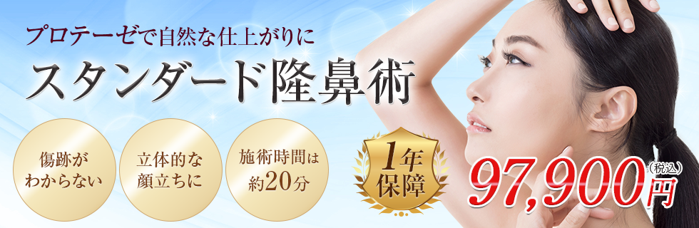 スタンダード隆鼻術