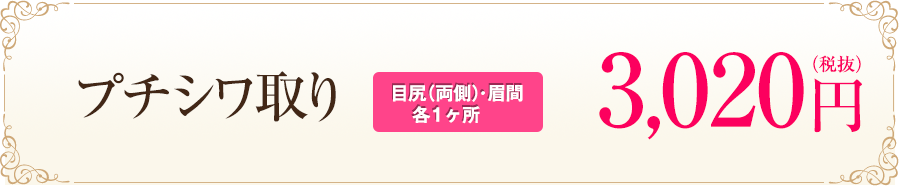 プチシワ取り[目尻（両側）･眉間各1ヶ所] トライアル 500円（税抜）