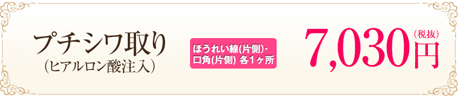 プチシワ取り（ヒアルロン酸注入）[ほうれい線（片側）・口角(片側）各1ヶ所] トライアル 500円（税抜）