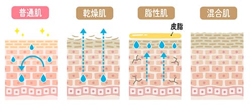 混合肌（インナードライ）とは