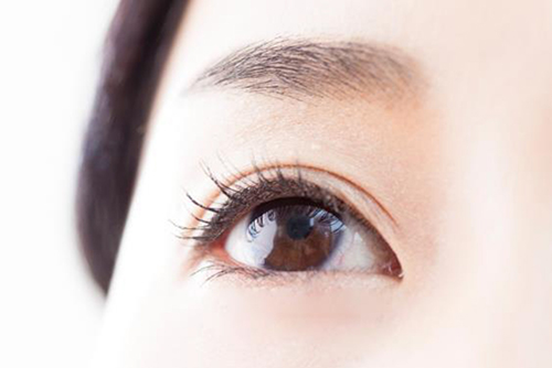 埋没法のしくみと種類