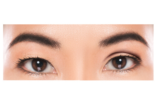 雌雄眼は魅力にも