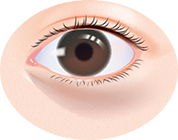 目の下に影があり、化粧でも隠れない