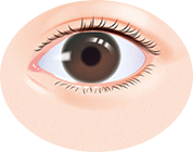 涙袋がはっきりしない