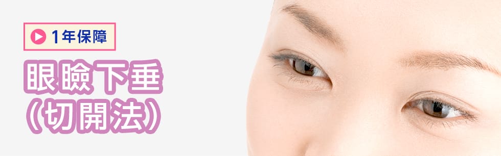 眼瞼下垂（切開法） 1年保障