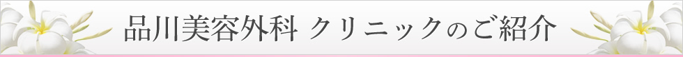 品川美容外科 クリニックのご紹介