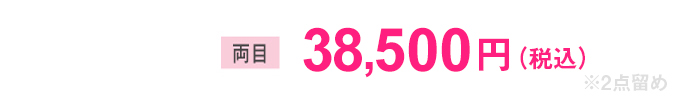  両目 38,500円(税込)
