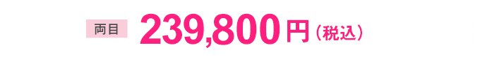 両目 239,990円(税込)