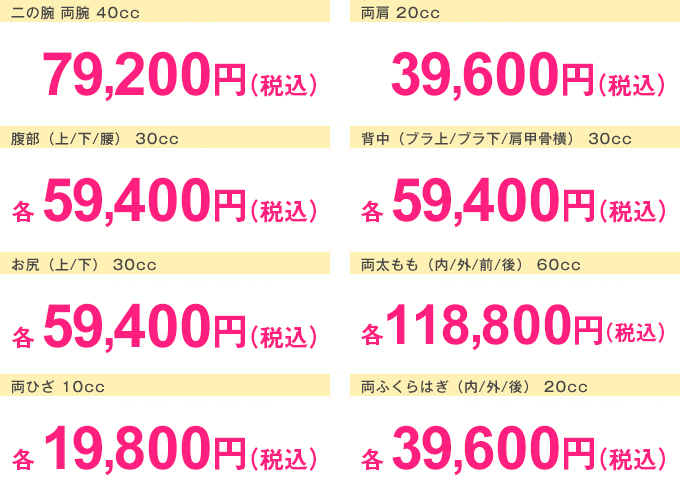 スリムプログラム 価格表