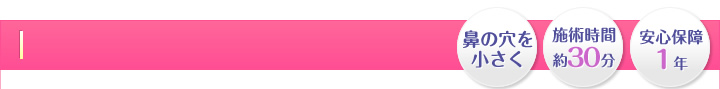 鼻の穴を小さく・施術時間 約30分・安心保障１年