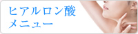ヒアルロン酸メニュー