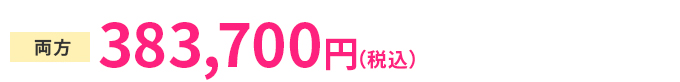 片方 198,950円(税抜) 両方 355,270円(税抜)