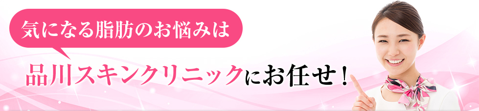 お手軽プチ整形は品川美容外科にお任せ！