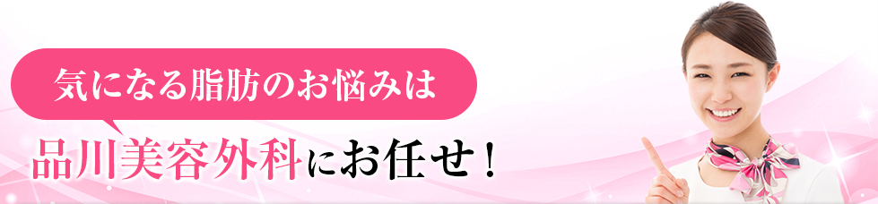 お手軽プチ整形は品川美容外科にお任せ！