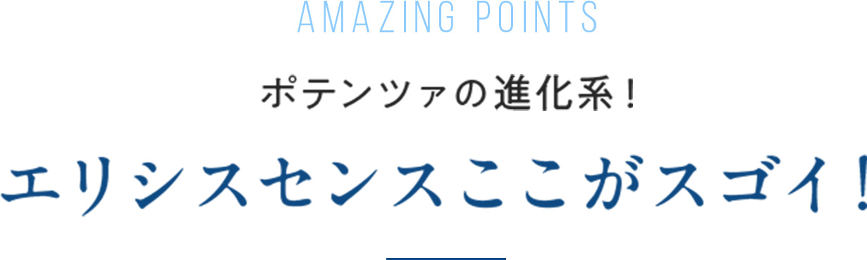AMAZING POINTS ポテンツァの進化系！エリシスセンスのここがスゴイ！