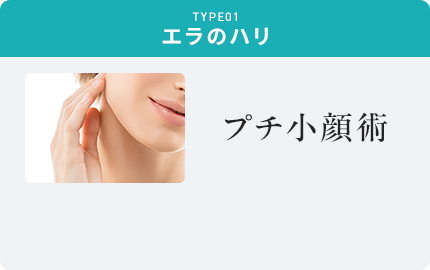 TYPE01 エラのハリ プチ小顔術