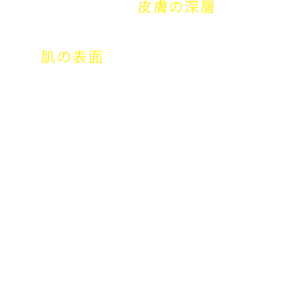 超音波エネルギーを皮膚の深層に集中照射→肌の表面はダメージを受けない→皮膚のたるみの根本治療 内側から引き締め リフトアップ シワ改善