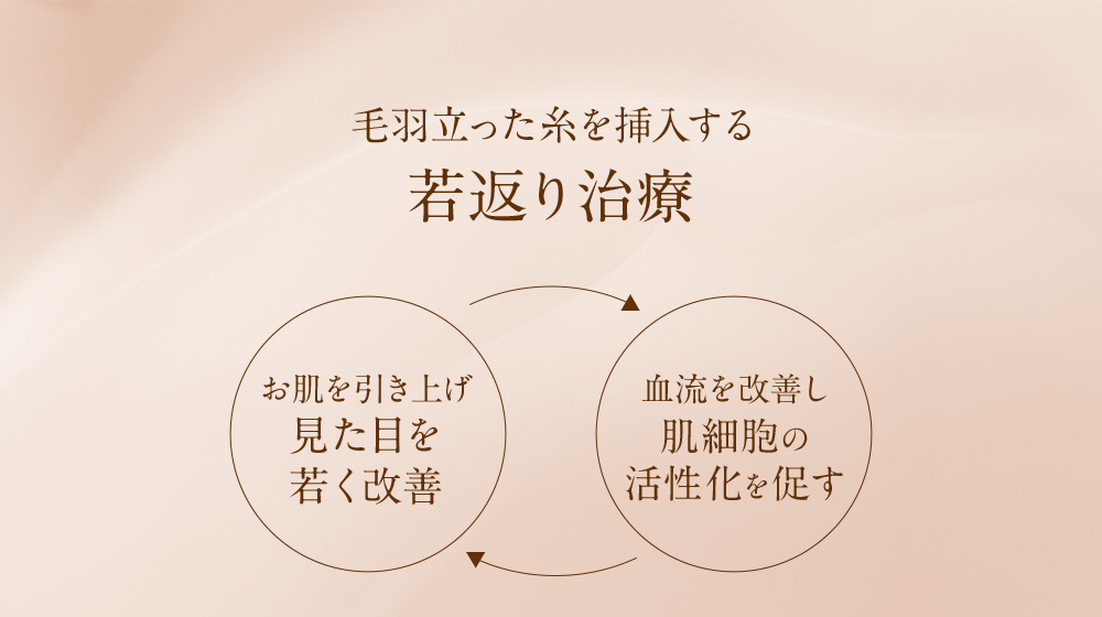 毛羽立った糸を挿入する若返り治療 お肌を引き上げ見た目を若く改善 血流を改善し肌細胞の活性化を促す