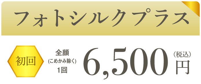 フォトシルクプラス 初回全顔(こめかみ除く)1回6,500円（税込）