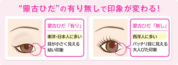 “蒙古ひだ”の有り無しで印象が変わる！