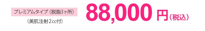 プレミアタイプ（脱脂３ヶ所） 88,000円（税込）