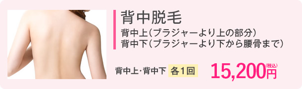 背中脱毛(背中上（ブラジャーより上の部分）・背中下（ブラジャーより下から腰骨まで）)　背中上･背中下　1回