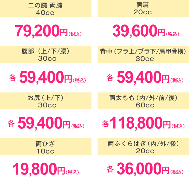 スタンダード
二の腕 両腕 1回 86,400円(税抜) スタンダード 両肩 1回 69,000円(税抜) スタンダード 腹部(上/下/腹)1回 各69,000円(税抜) スタンダード 背中(ブラ上/ブラ下/肩甲骨横)1回 各69,000円(税抜)
