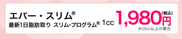 エバー・スリム 1cc 2940円(税抜)