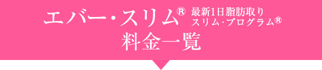 エバー・スリム料金一覧