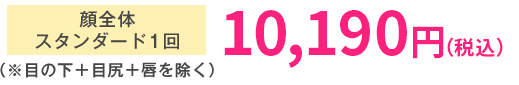 顔全体 スタンダード1回（※目の下＋目尻＋唇を除く）
