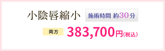 小陰唇縮小 施術時間 約30分 片方 198,950円（税抜） 両方 355,270円（税抜）