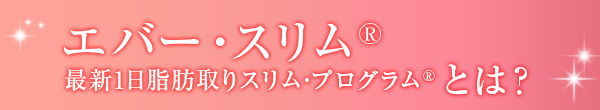 エバースリムとは？