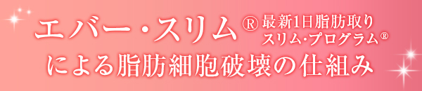 エバースリムによる脂肪細胞破壊の仕組み