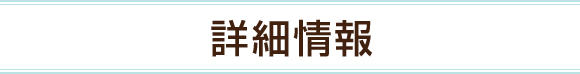 詳細情報
