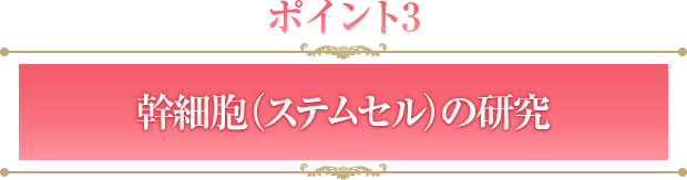 幹細胞（ステムセル）の研究
