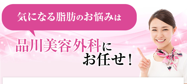 気になる脂肪のお悩みは品川美容外科にお任せ！