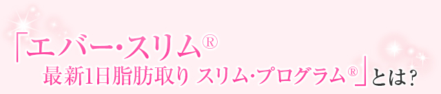 エバースリム®最新1日脂肪取りスリムプログラムとは？