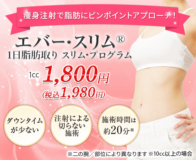 エバースリム®最新1日脂肪取りスリムプログラム