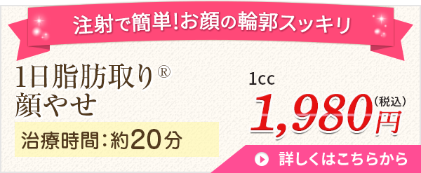 1日脂肪取り顔やせ
