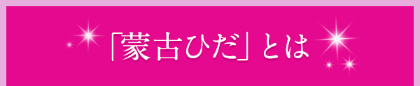 蒙古ひだとは