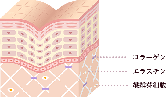 元のたるみ・小ジワがある肌