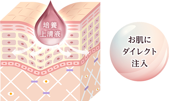お肌にダイレクト注入