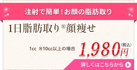 1日脂肪取り顔やせ