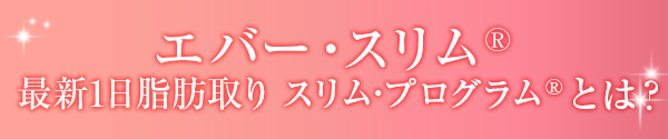 エバースリム最新脂肪取りスリムプログラムとは？