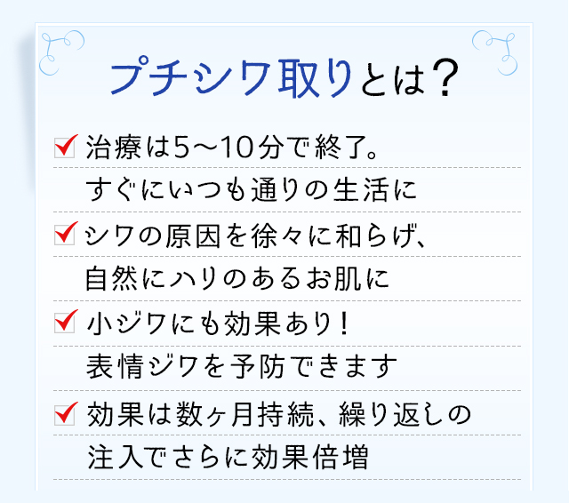 プチシワ取りとは？