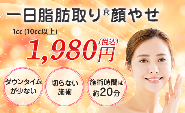 1日脂肪取り顔やせ